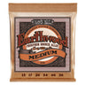 ERNIE BALL Westerngitarren Saitensatz - Akustik Earthwood Phosphor Bronze - Musik-Ebert Gmbh