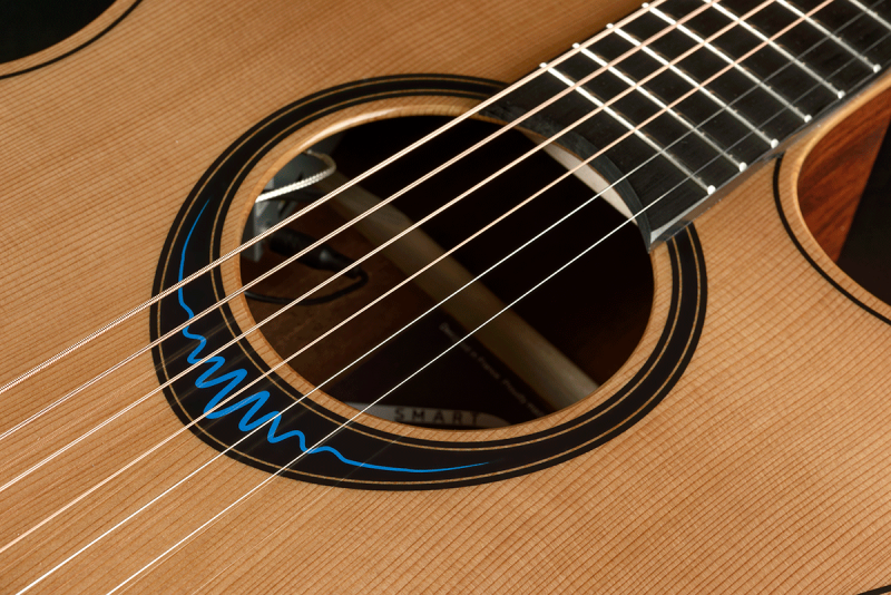 LAG acoustic guitar, auditorium, BlueWave2, pickup 