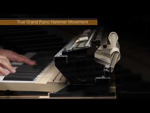 Casio Digitalpiano / Hybrid Piano GP-310 Celviano